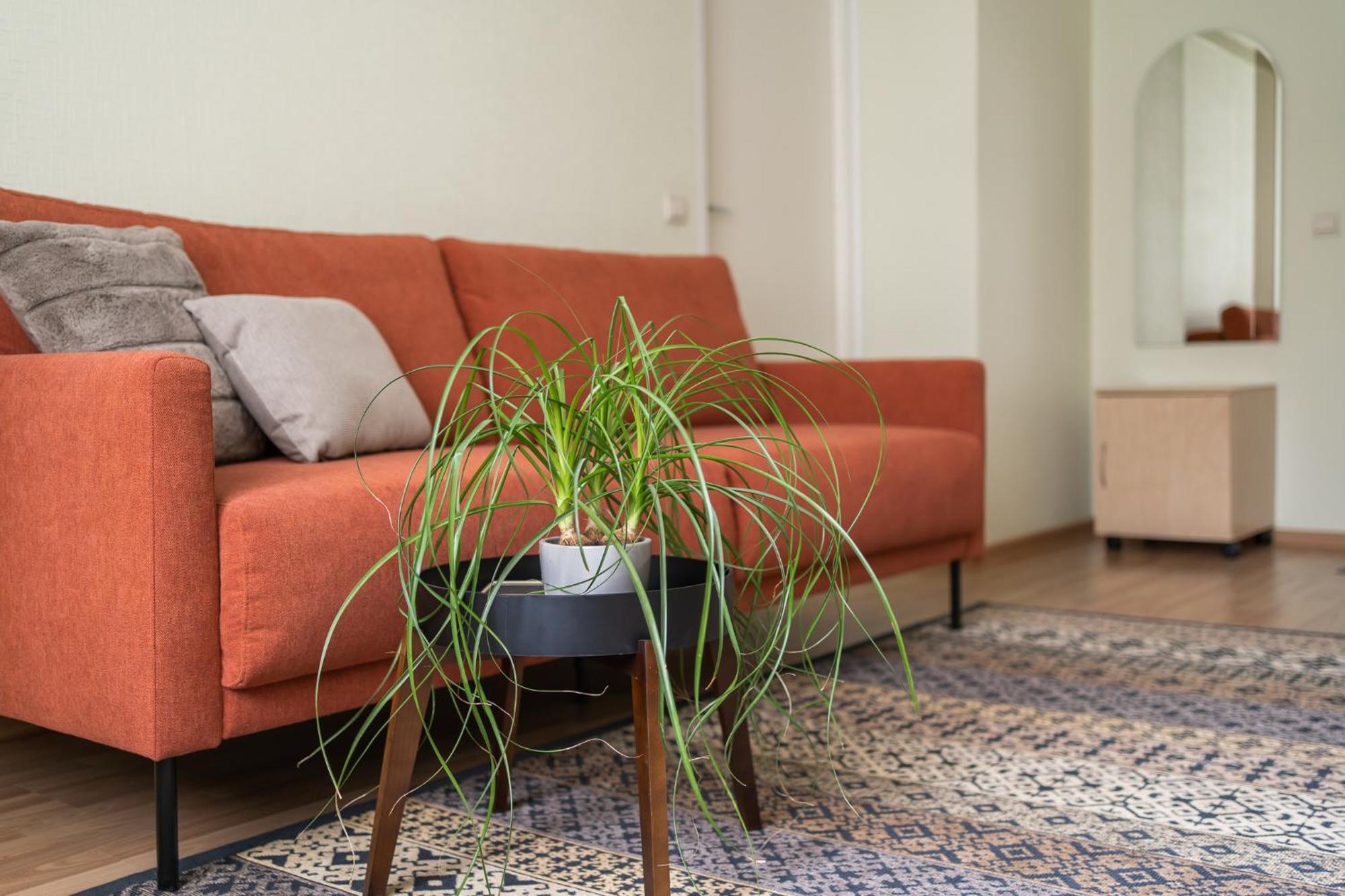 Virumaa Hostel Kohtla-Järve Εξωτερικό φωτογραφία